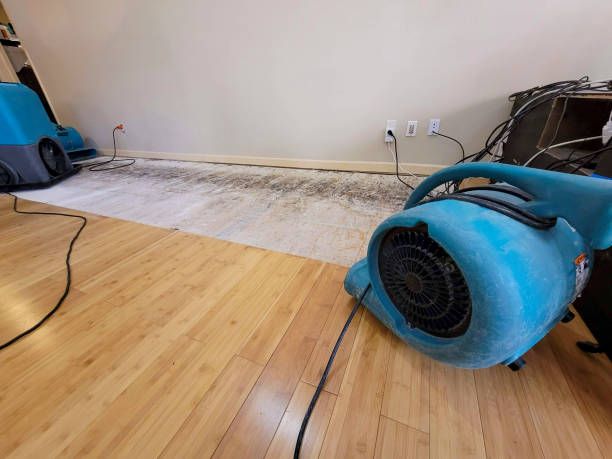 Professional Ceiling Water Damage Repair technician working in Durham, CA